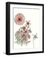 Dahlia Study-Melissa Wang-Framed Art Print