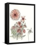 Dahlia Study-Melissa Wang-Framed Stretched Canvas