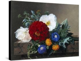 Dahlia with White Poppies, Cherianthus and Morning Glories-Johan Laurentz Jensen-Stretched Canvas
