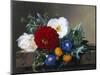 Dahlia with White Poppies, Cherianthus and Morning Glories-Johan Laurentz Jensen-Mounted Premium Giclee Print