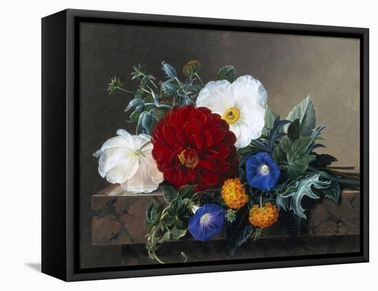 Dahlia with White Poppies, Cherianthus and Morning Glories-Johan Laurentz Jensen-Framed Stretched Canvas