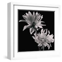 Dahlia-Michael Harrison-Framed Art Print