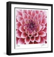 Dahlia-Ken Bremer-Framed Limited Edition