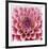 Dahlia-Ken Bremer-Framed Limited Edition