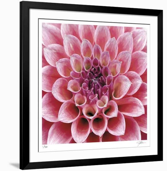 Dahlia-Ken Bremer-Framed Limited Edition