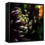 Dahlia-Katherine Sanderson-Framed Stretched Canvas