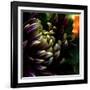 Dahlia-Katherine Sanderson-Framed Photographic Print