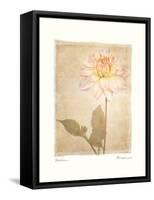 Dahlia-Amy Melious-Framed Stretched Canvas