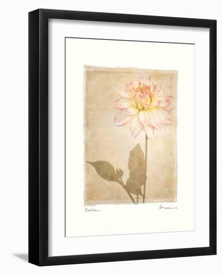 Dahlia-Amy Melious-Framed Art Print