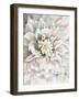 Dahlia-Patricia Pinto-Framed Art Print