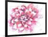 Dahlia-Beverly Dyer-Framed Art Print