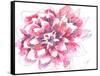 Dahlia-Beverly Dyer-Framed Stretched Canvas