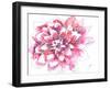 Dahlia-Beverly Dyer-Framed Art Print