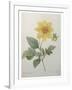 Dahlia-Pierre-Joseph Redoute-Framed Art Print