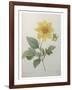 Dahlia-Pierre-Joseph Redoute-Framed Art Print