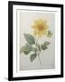 Dahlia-Pierre-Joseph Redoute-Framed Art Print