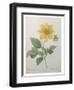 Dahlia-Pierre-Joseph Redoute-Framed Art Print