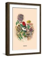 Dahlia-J.J. Grandville-Framed Art Print