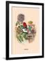 Dahlia-J.J. Grandville-Framed Art Print