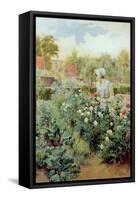 Dahlias, 1896-Alfred Augustus Glendenning-Framed Stretched Canvas