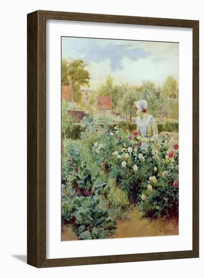 Dahlias, 1896-Alfred Augustus Glendenning-Framed Giclee Print