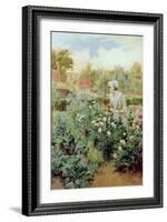 Dahlias, 1896-Alfred Augustus Glendenning-Framed Giclee Print