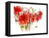 Dahlias, 2002-Claudia Hutchins-Puechavy-Framed Stretched Canvas