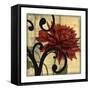 Dahlias and Scrolls IV-Jennifer Goldberger-Framed Stretched Canvas