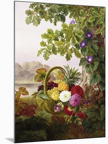 Dahlias, Asters, and Morning Glory-Johan Laurentz Jensen-Mounted Giclee Print