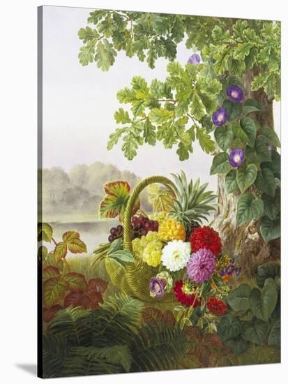 Dahlias, Asters and Morning Glory-Johan Laurentz Jensen-Stretched Canvas