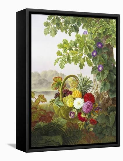 Dahlias, Asters and Morning Glory-Johan Laurentz Jensen-Framed Stretched Canvas