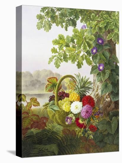 Dahlias, Asters and Morning Glory-Johan Laurentz Jensen-Stretched Canvas