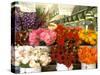 Dahlias For Sale at the Pike Street Market, Seattle, Washington, USA-null-Stretched Canvas