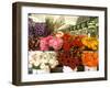 Dahlias For Sale at the Pike Street Market, Seattle, Washington, USA-null-Framed Photographic Print