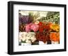 Dahlias For Sale at the Pike Street Market, Seattle, Washington, USA-null-Framed Photographic Print