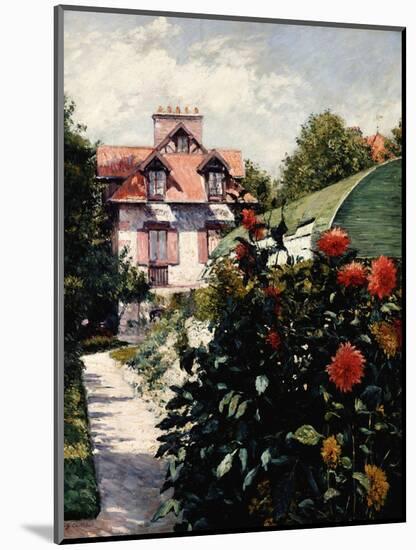 Dahlias, Petit Gennevilliers Garden-Gustave Caillebotte-Mounted Giclee Print