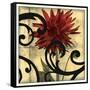 Dahlias & Scrolls II-Jennifer Goldberger-Framed Stretched Canvas