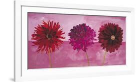 Dahlias Vermillon, Fischia, Carmin-Valerie Roy-Framed Art Print