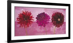 Dahlias Vermillon, Fischia, Carmin-Valerie Roy-Framed Art Print