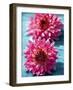 Dahlias-Laurence Mouton-Framed Art Print