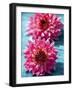 Dahlias-Laurence Mouton-Framed Art Print