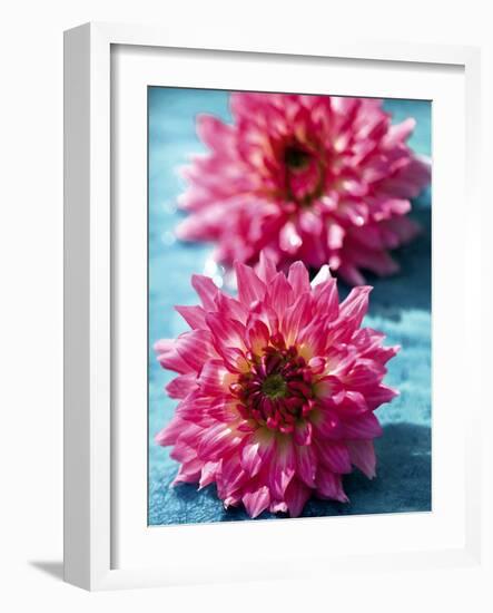 Dahlias-Laurence Mouton-Framed Art Print