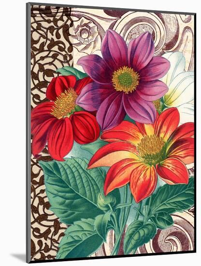 Dahlias-Piddix-Mounted Art Print