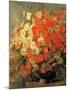 Dahlias-Gaetano Previati-Mounted Giclee Print