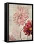 Dahlias-Denise Brown-Framed Stretched Canvas