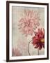 Dahlias-Denise Brown-Framed Art Print