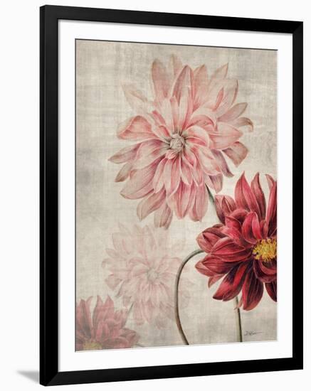 Dahlias-Denise Brown-Framed Art Print