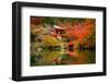 Daigo-Ji Temple with Colorful Maple Trees in Autumn, Kyoto, Japan-Patryk Kosmider-Framed Photographic Print