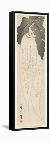 Daikon Radish, January 1864-Shunsei-Framed Stretched Canvas