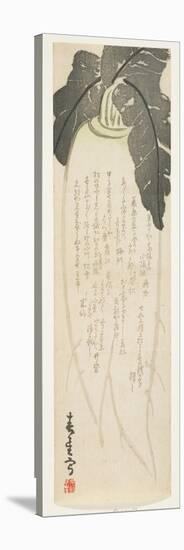 Daikon Radish, January 1864-Shunsei-Stretched Canvas